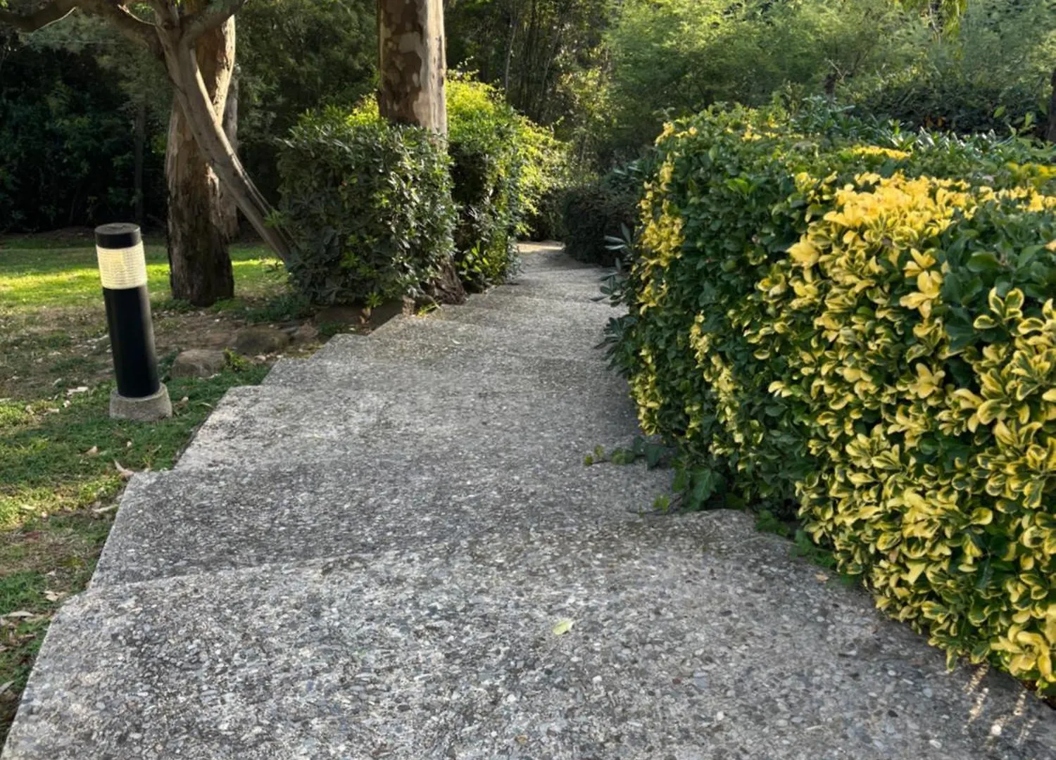 Cannes Eden Residence 